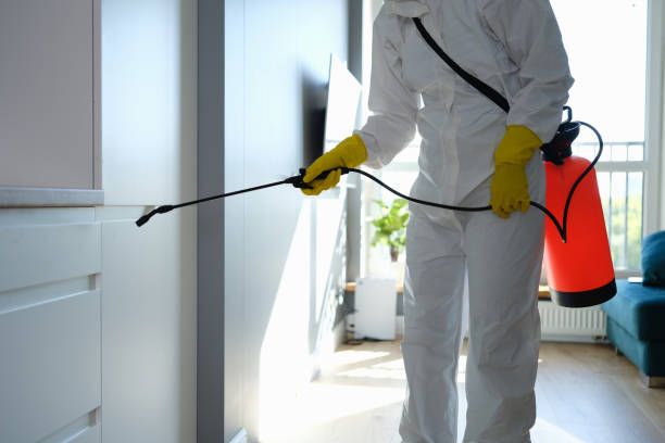 Best Comprehensive Air Testing for Mold Contaminants  in Troy, NY