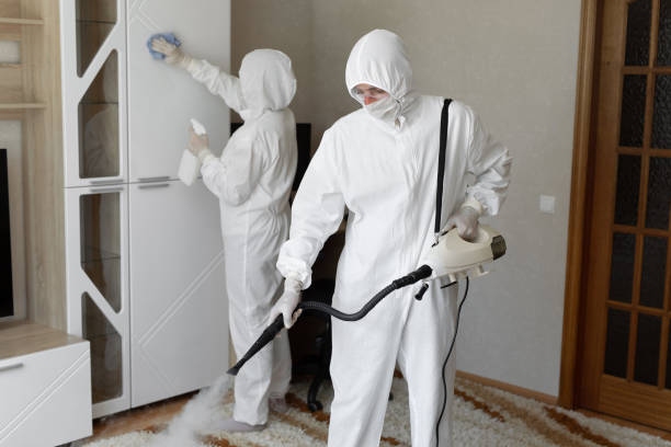 Best Mold Odor Removal Services  in Troy, NY